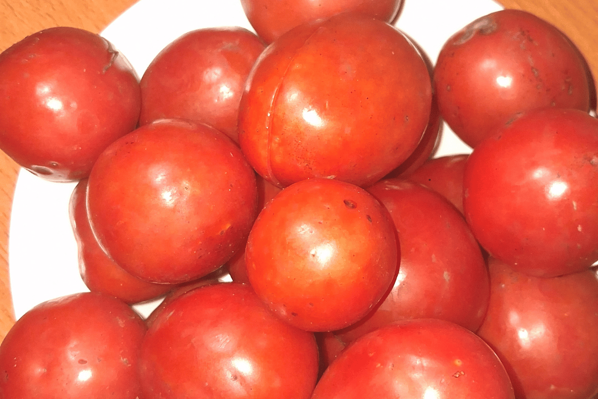 Washed fresh tomatoes for a budget-friendly Nigerian fresh tomato stew recipe.
